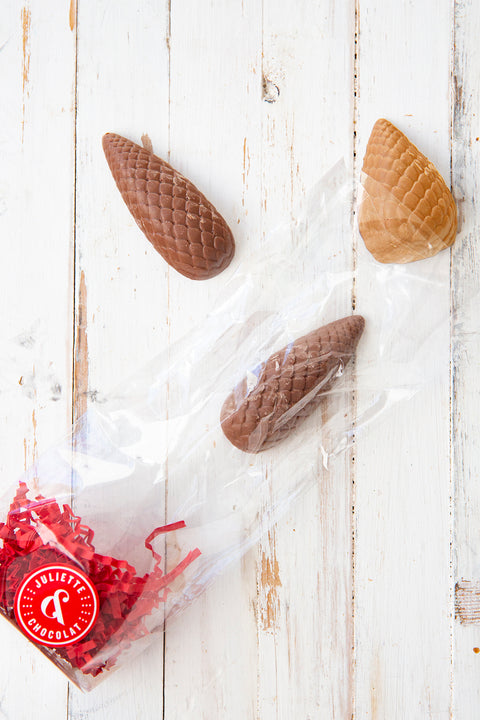 Chocolate praline pine cones