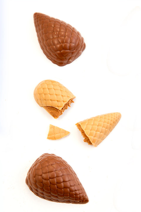 Chocolate praline pine cones